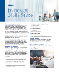 Tangible asset valuation services